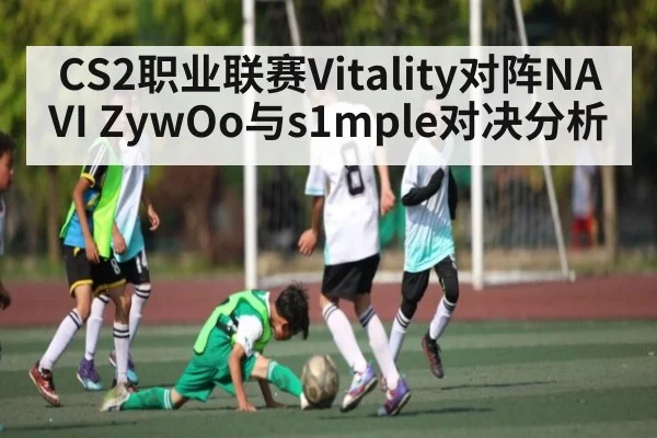 CS2职业联赛Vitality对阵NAVI ZywOo与s1mple对决分析 | kaiyun global