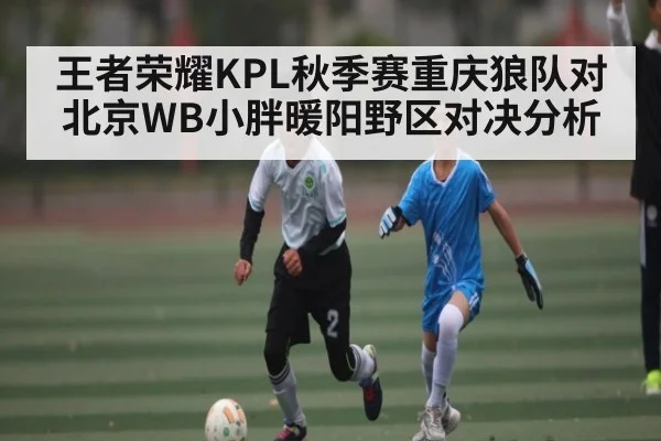 王者荣耀KPL秋季赛重庆狼队对北京WB小胖暖阳野区对决分析 | kaiyun global